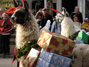 Talbot street parade